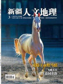 新疆人文地理杂志